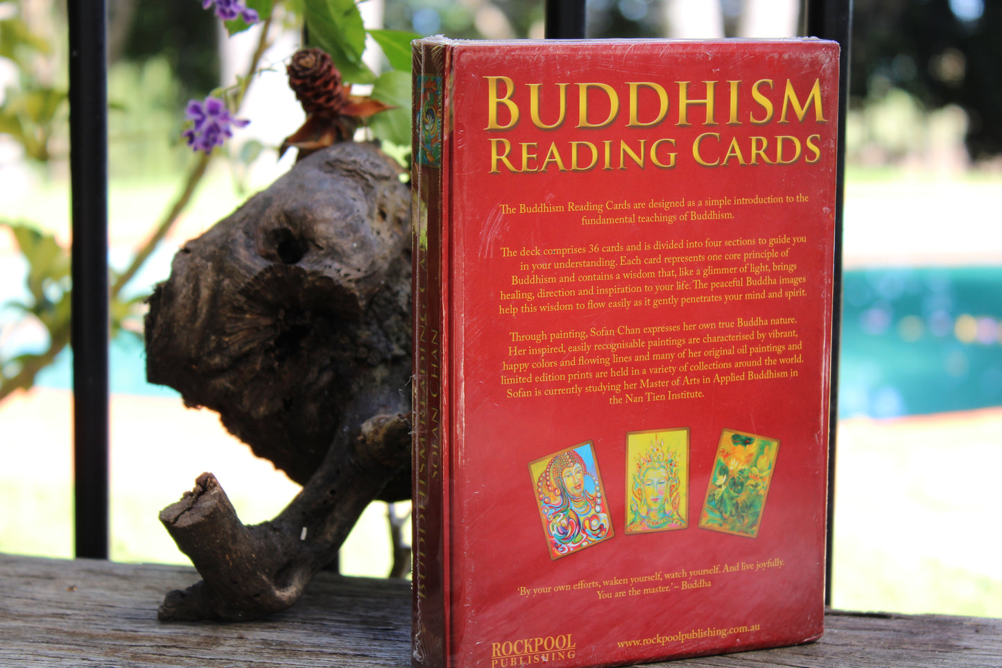 ORACLE CARDS - Buddhism Reading Cards