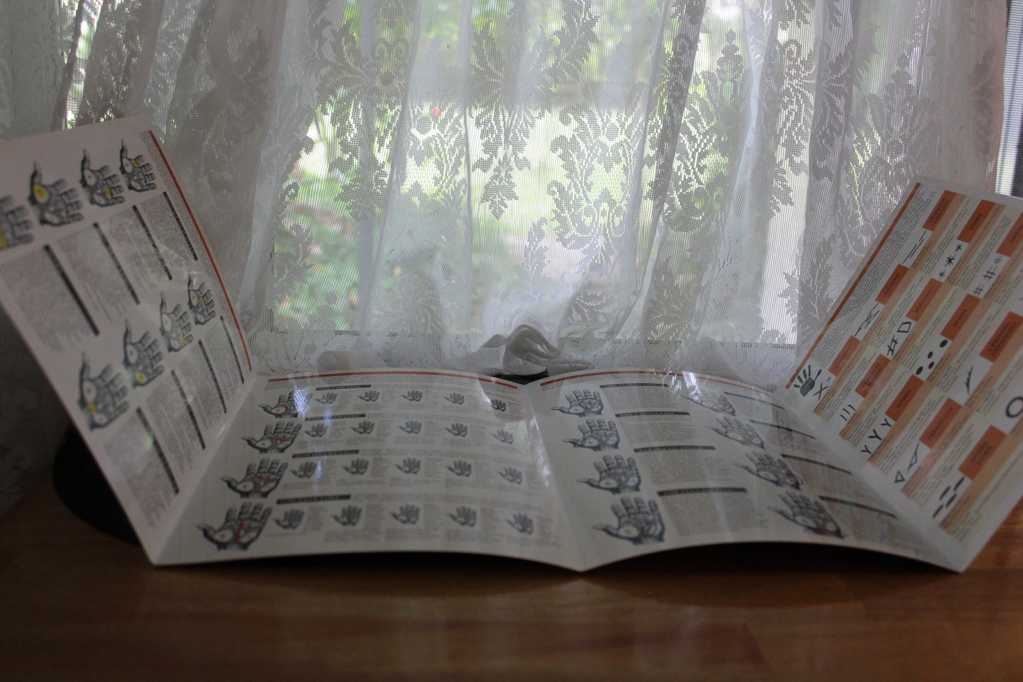 Guide Card - Palmistry Guide