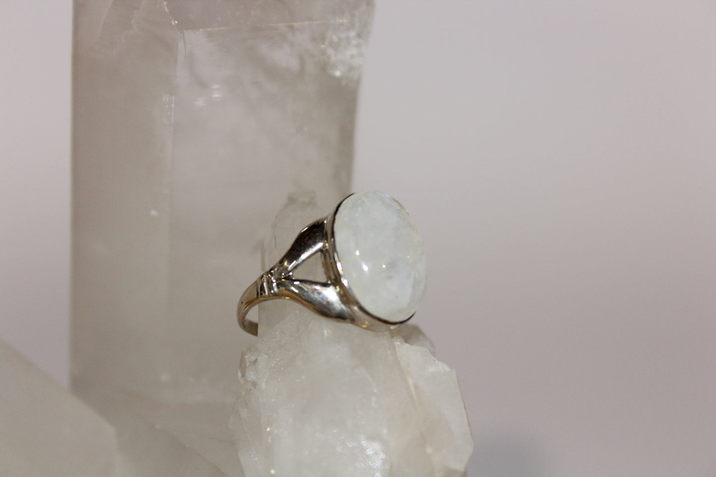 Ring - Moonstone - size - 8