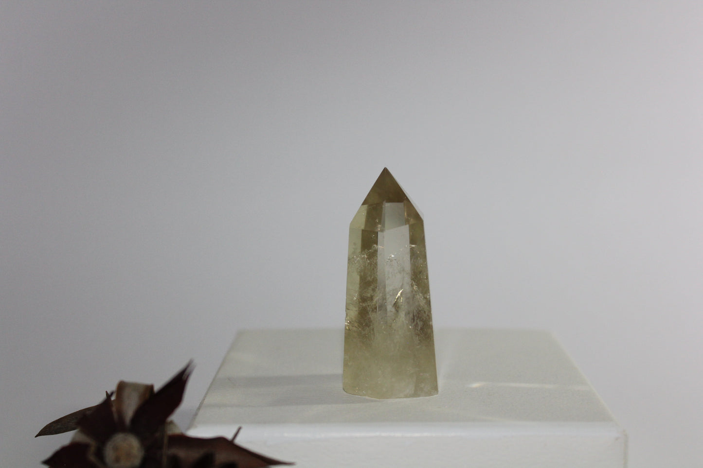 Generator - Citrine - sml