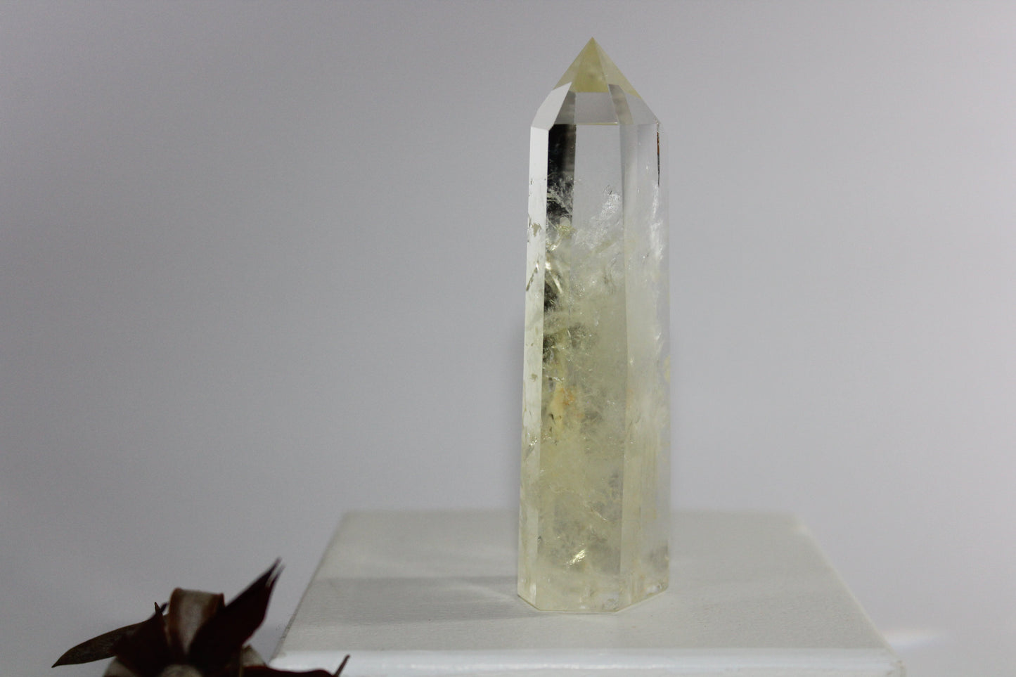 Generator - Citrine - med