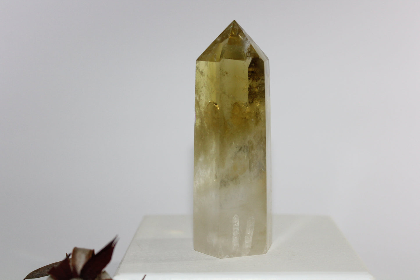Generator - Citrine - med