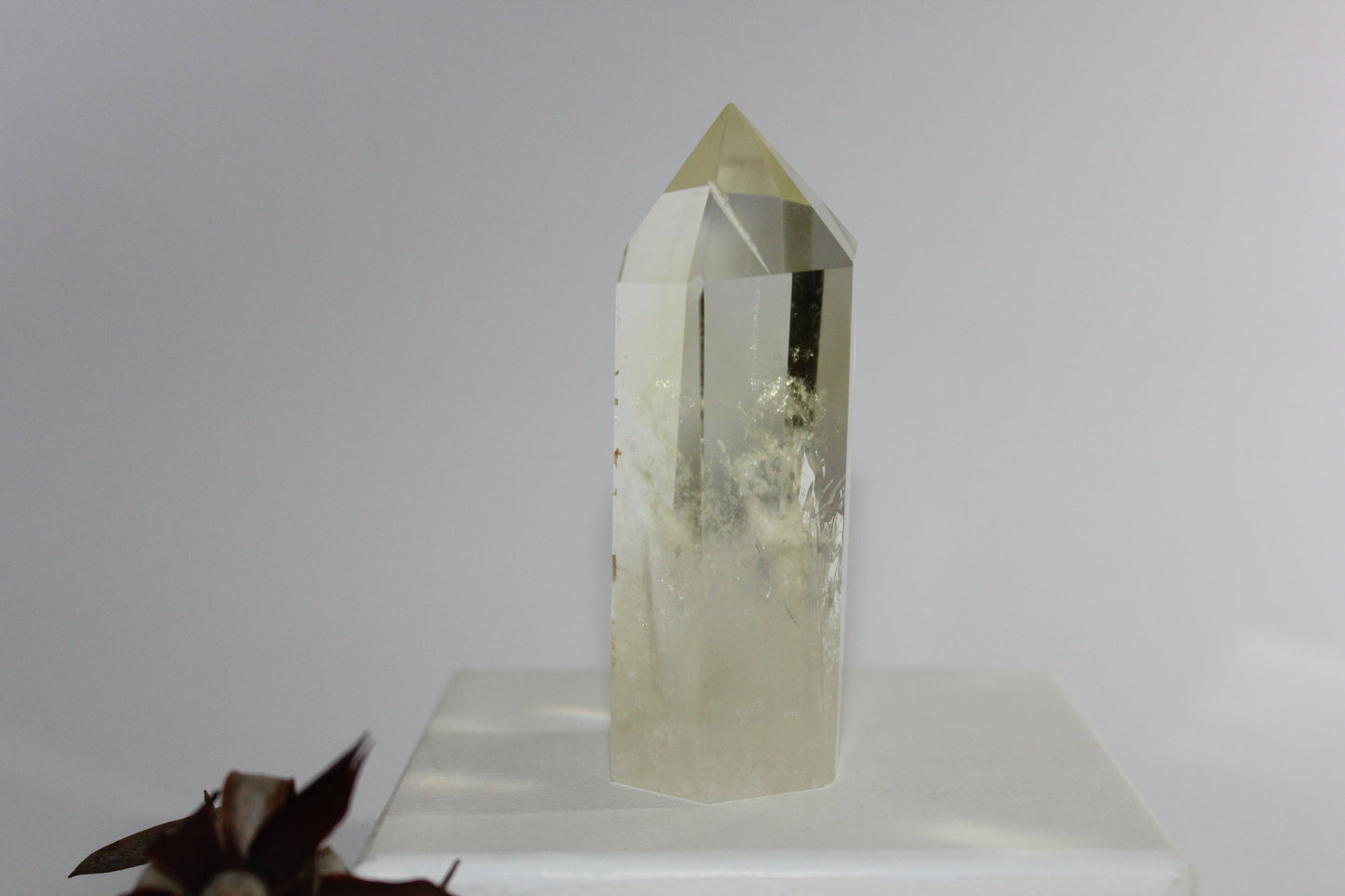 Generator - Citrine - med