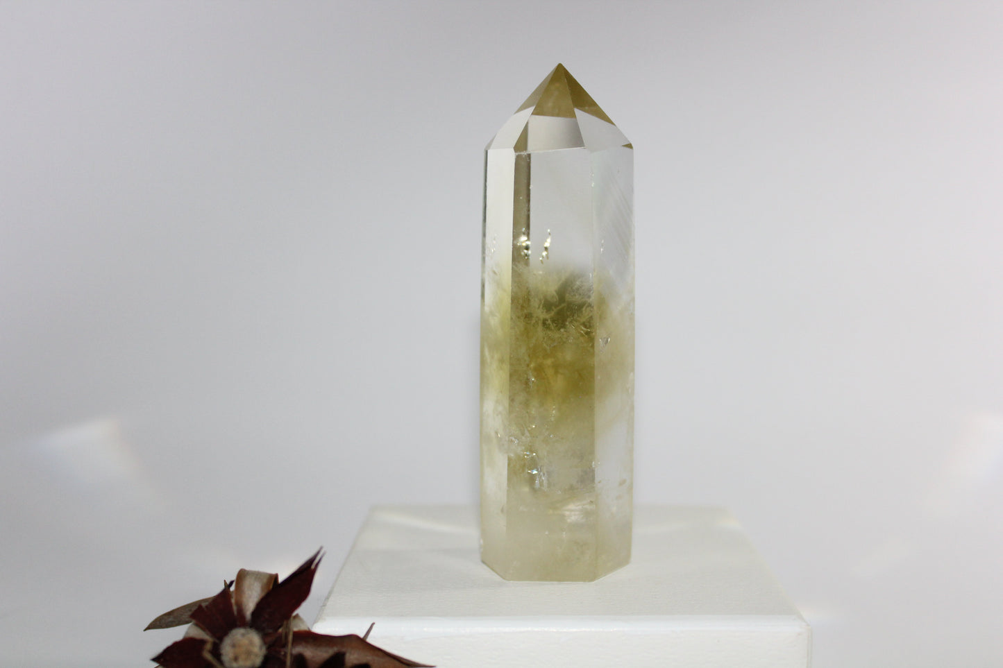 Generator - Citrine - lge