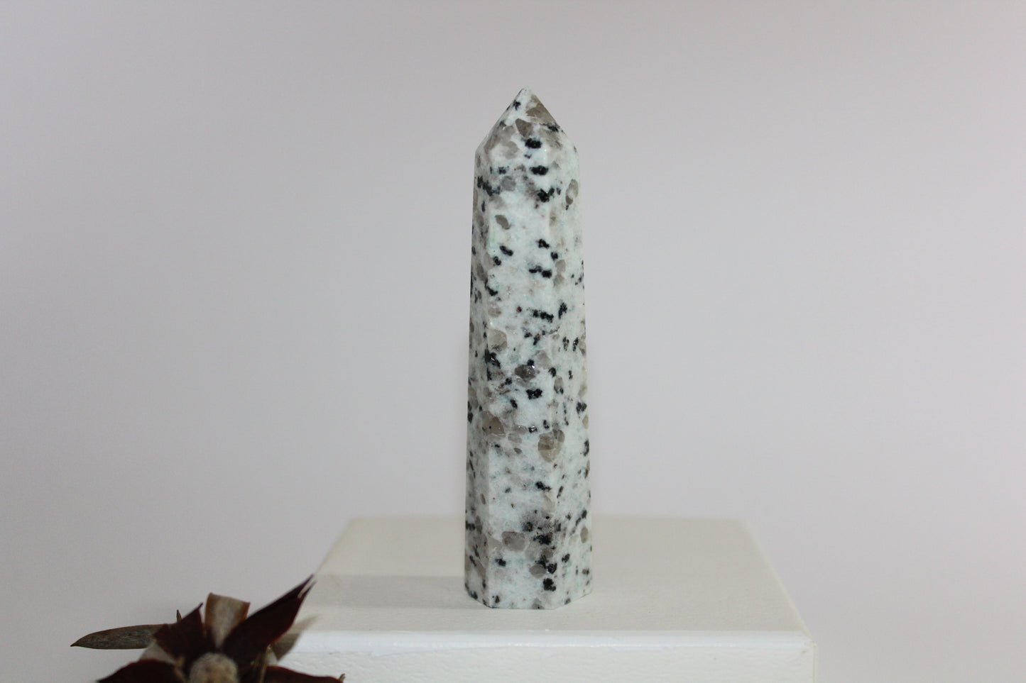 Generator - Kiwi Stone - med