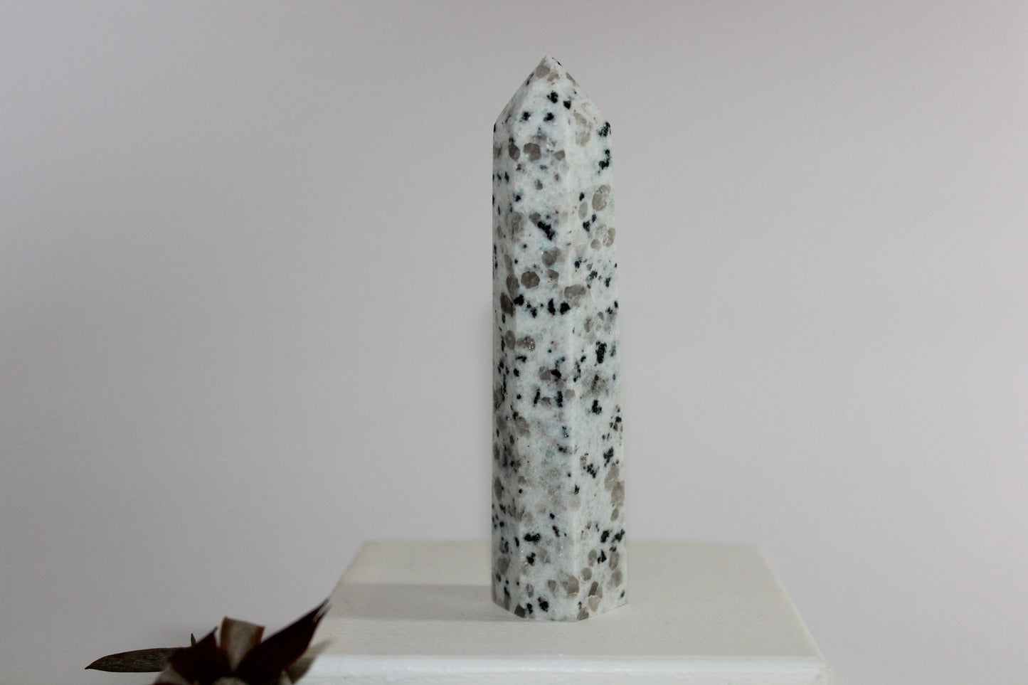 Generator - Kiwi Stone - med/lge