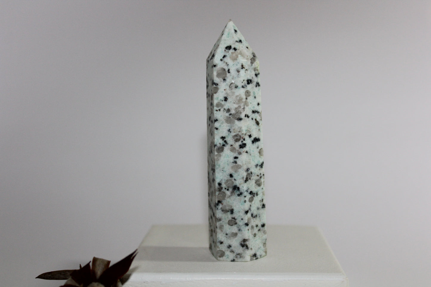 Generator - Kiwi Stone - med/lge