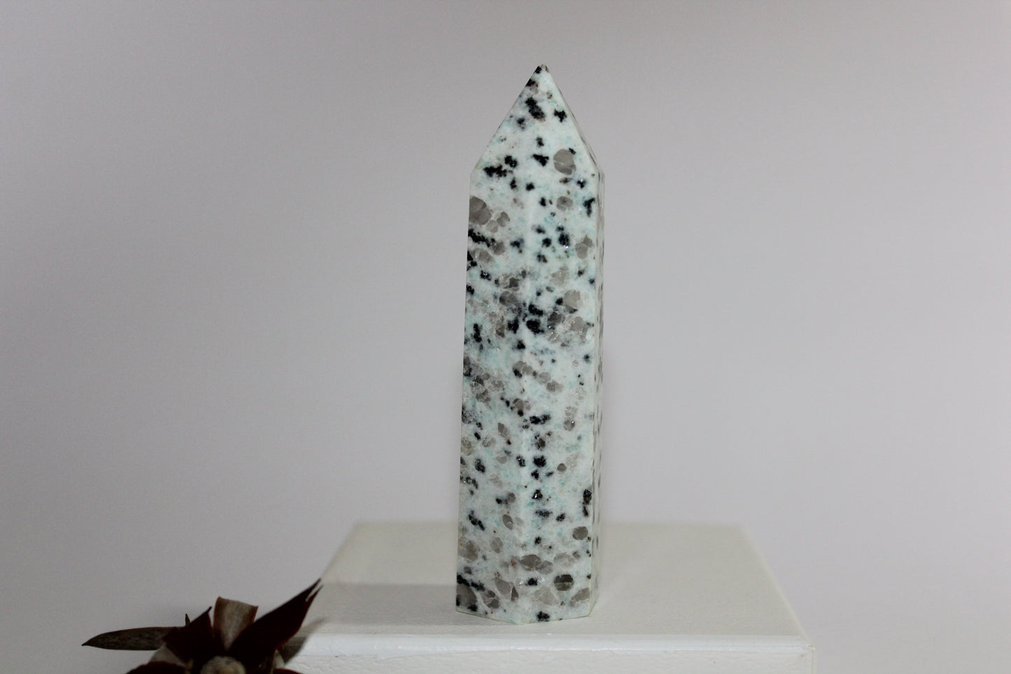 Generator - Kiwi Stone - med/lge