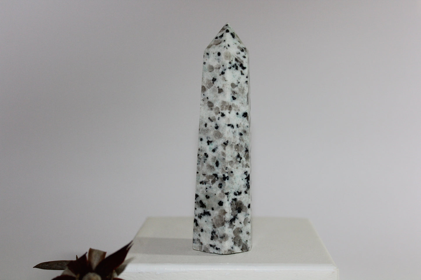 Generator - Kiwi Stone - med/lge