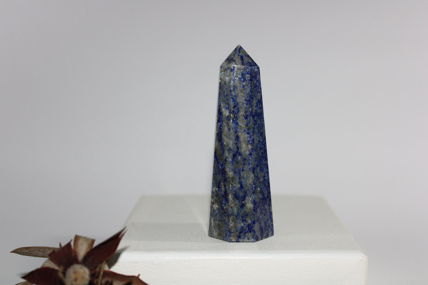 Generator - Lapis Lazuli - med/lge