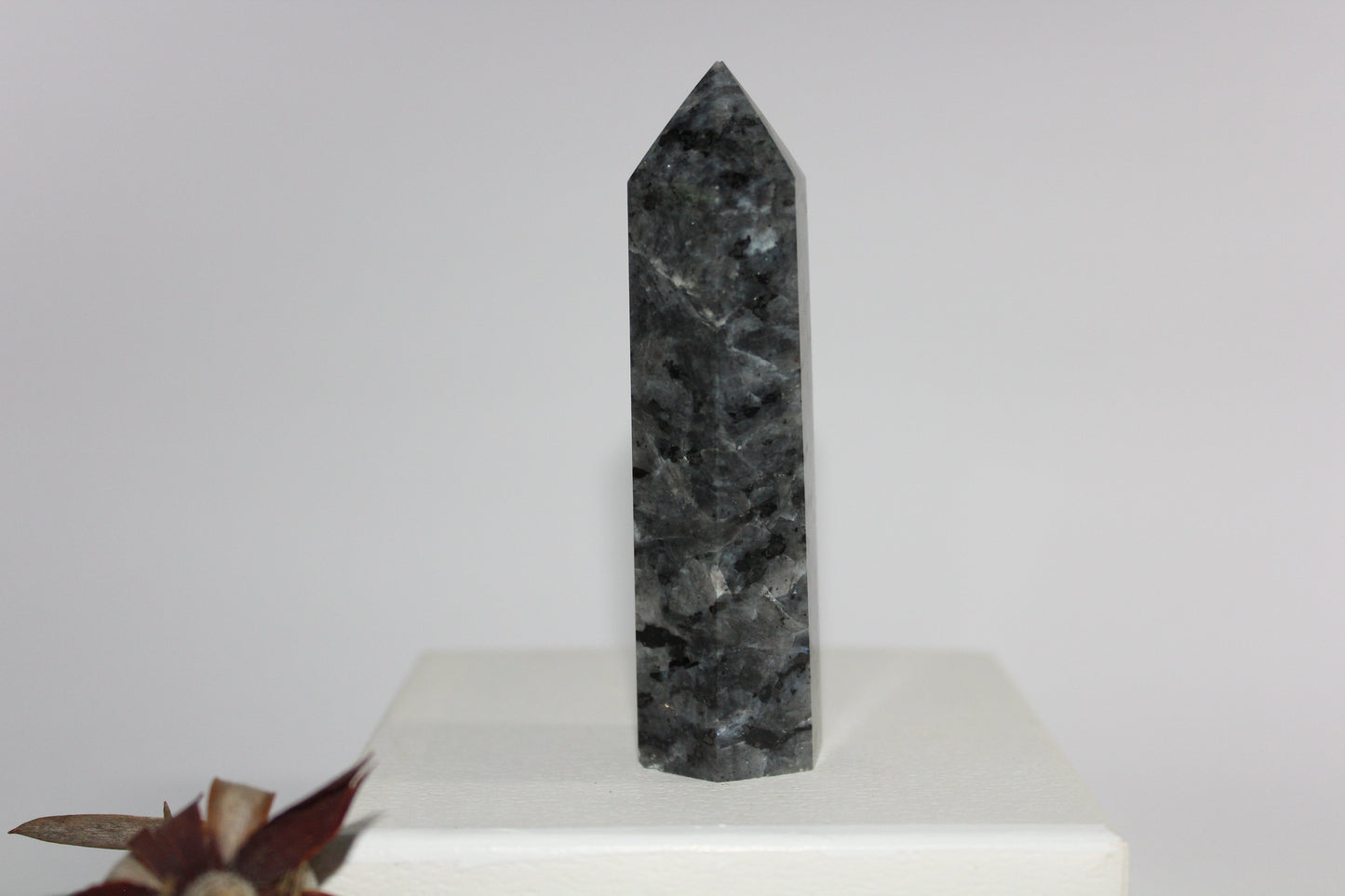 Generator - Larvikite (Black Moonstone) - med