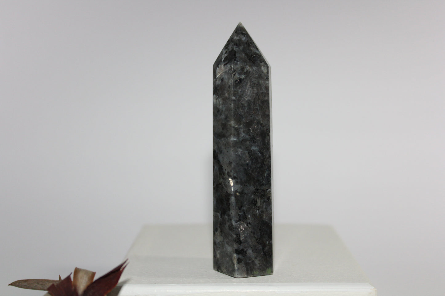 Generator - Larvikite (Black Moonstone) - med
