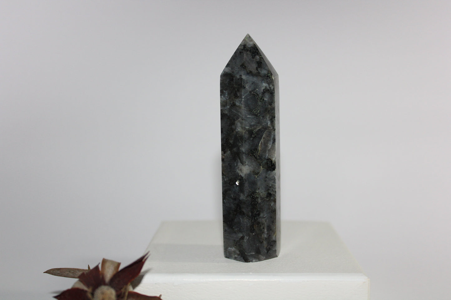 Generator - Larvikite (Black Moonstone) - med