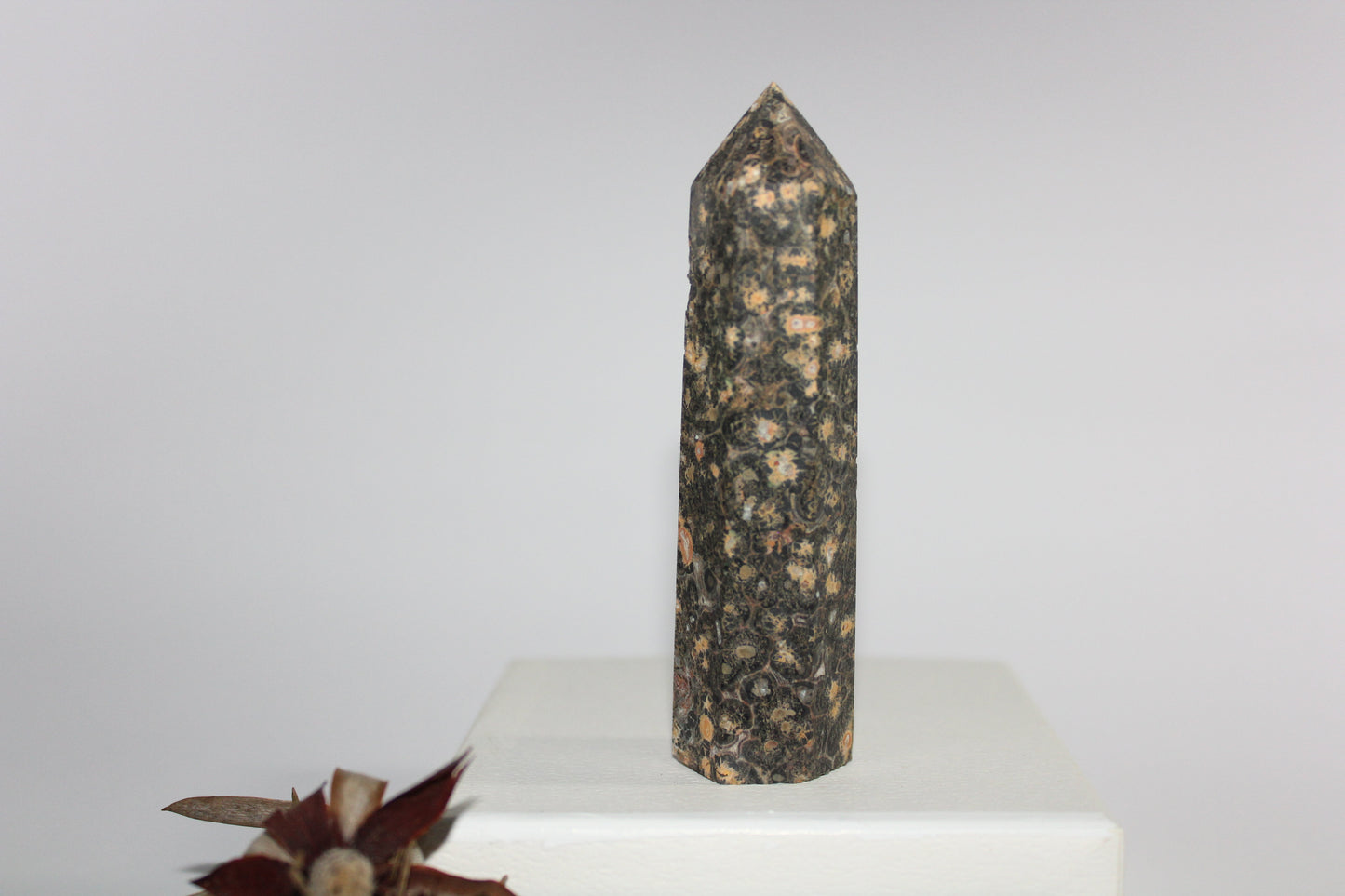 Generator - Leopard Skin Jasper - med