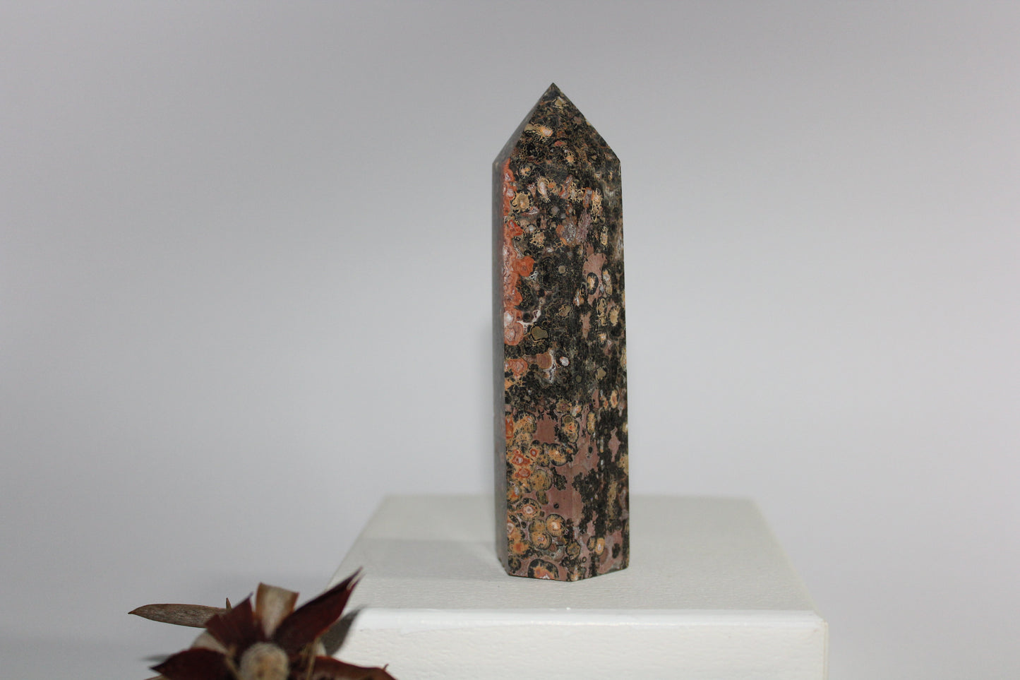 Generator - Leopard Skin Jasper - med