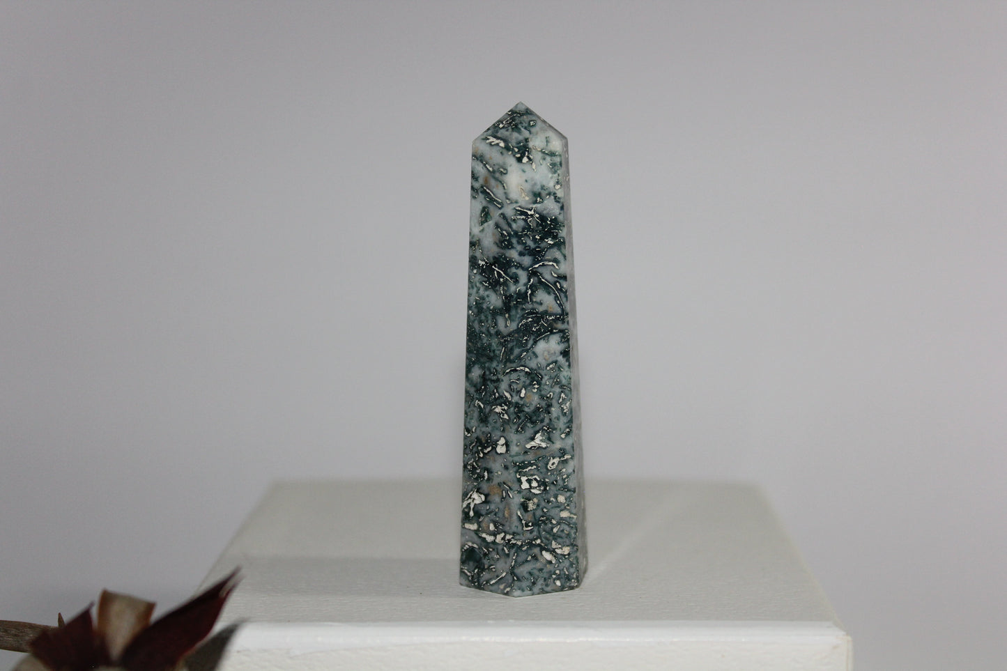 Generator - Tree Agate - sml/med