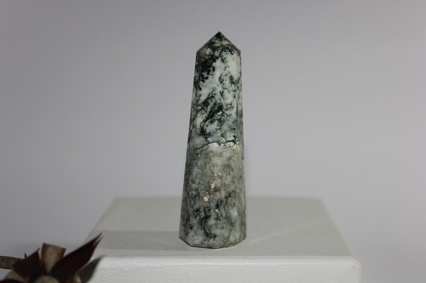 Generator - Tree Agate - sml/med