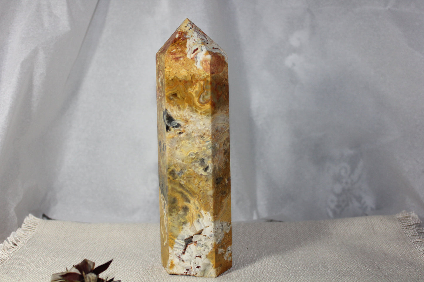 Generator - Crazy Lace - xxlge