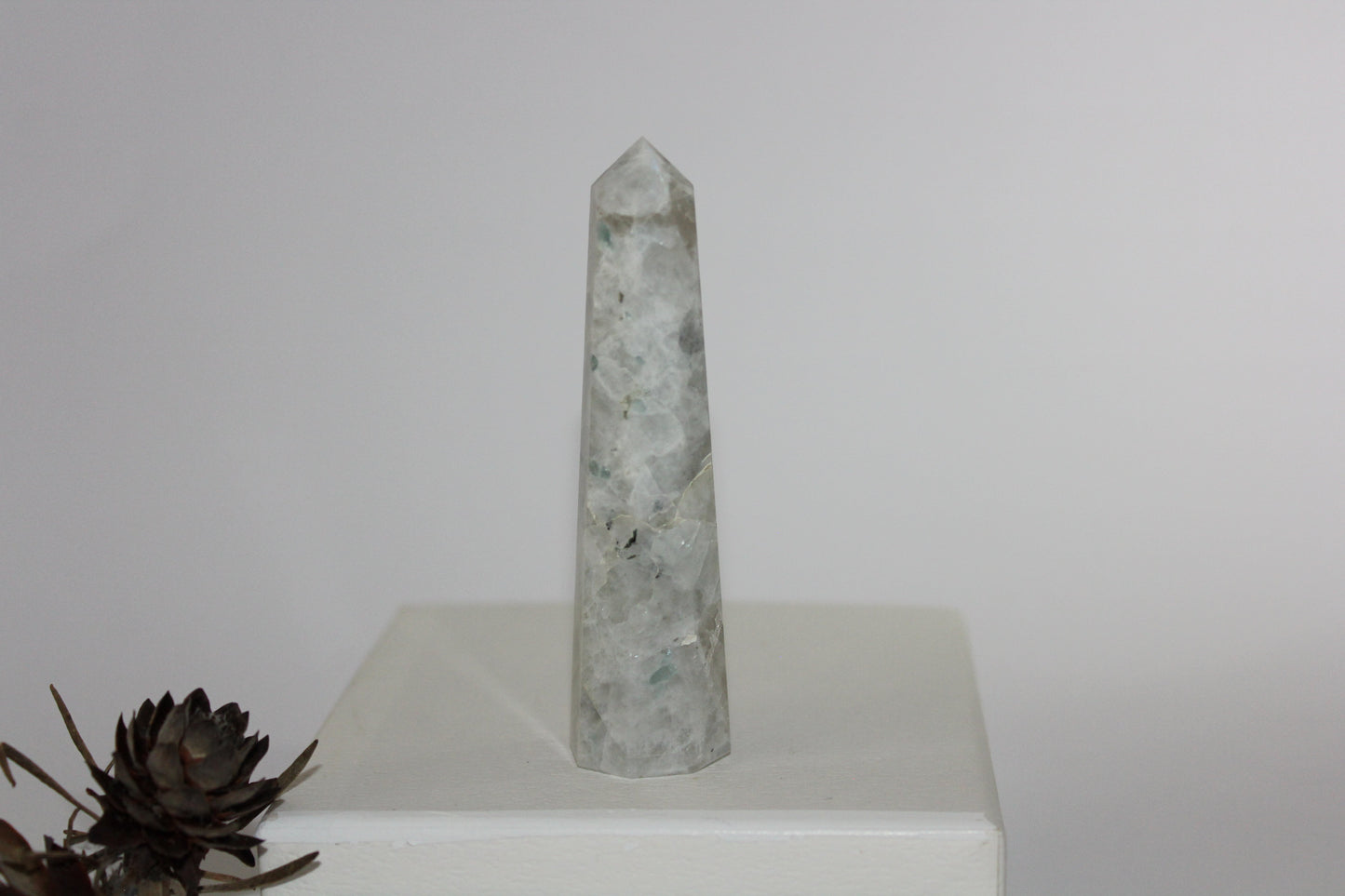 Generator - Moonstone - med