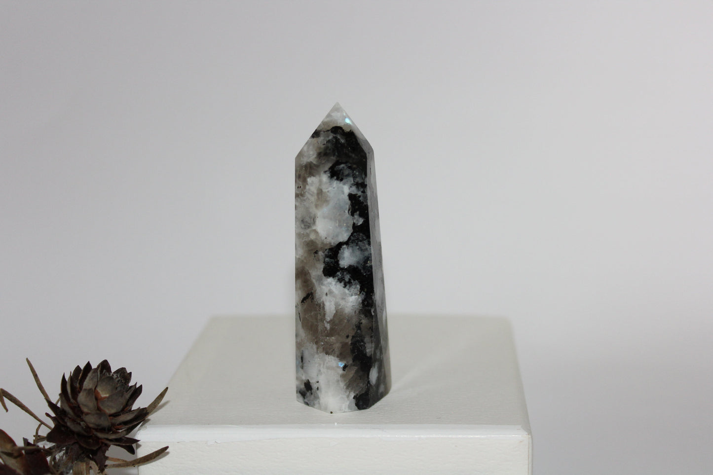 Generator - Moonstone - med