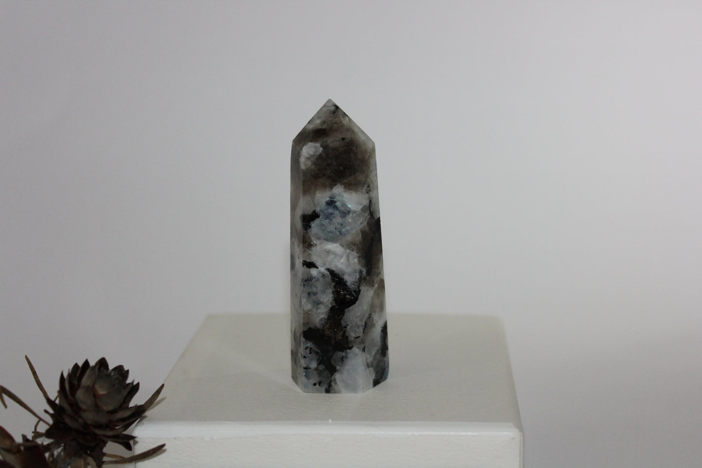 Generator - Moonstone - med