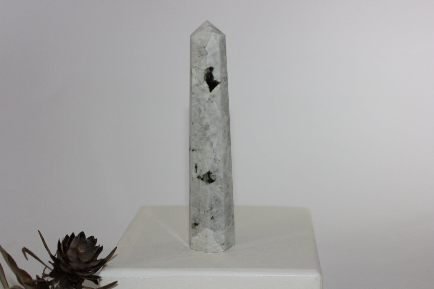 Generator - Moonstone - lge