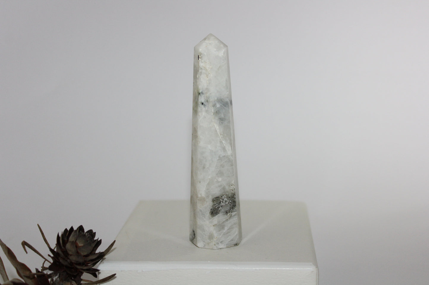 Generator - Moonstone - lge