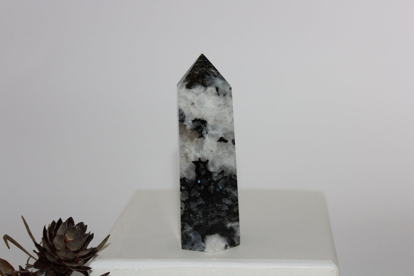 Generator - Moonstone - lge