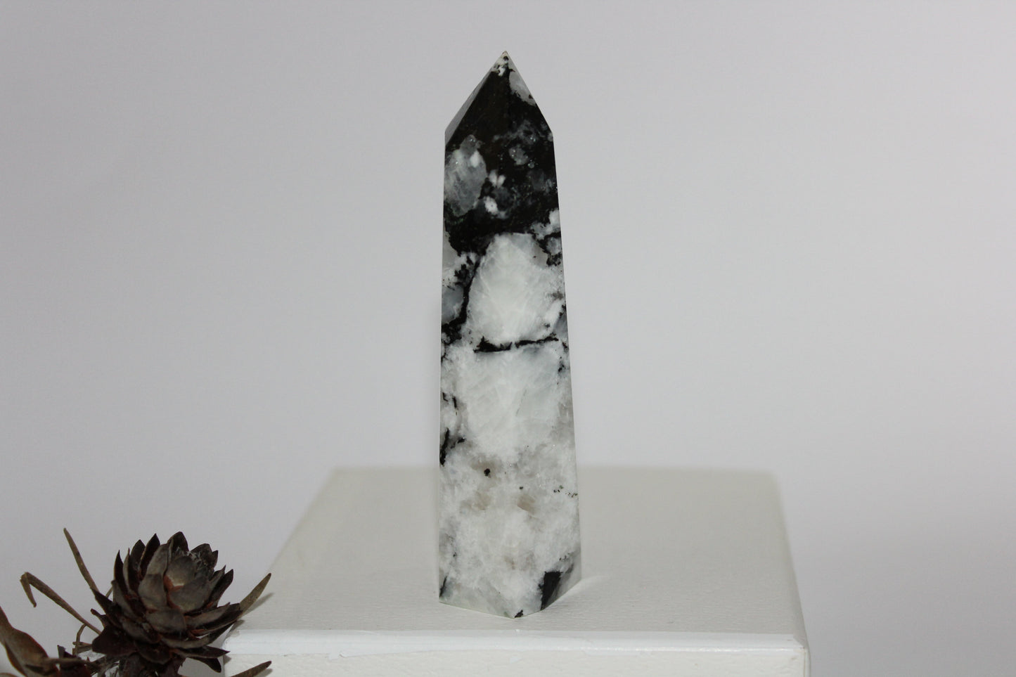 Generator - Moonstone - lge