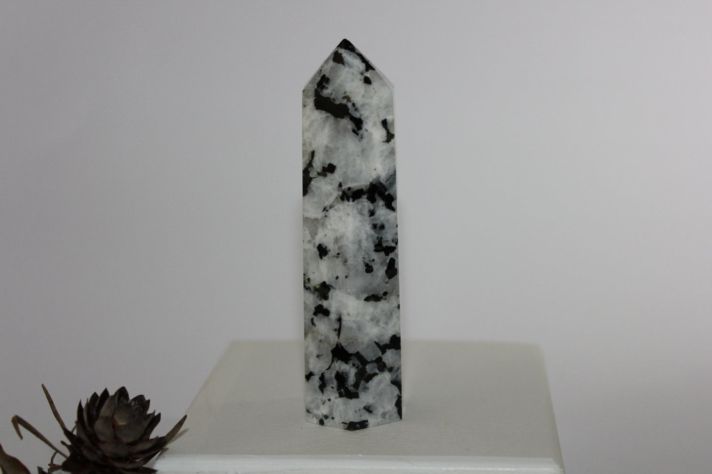 Generator - Moonstone - lge