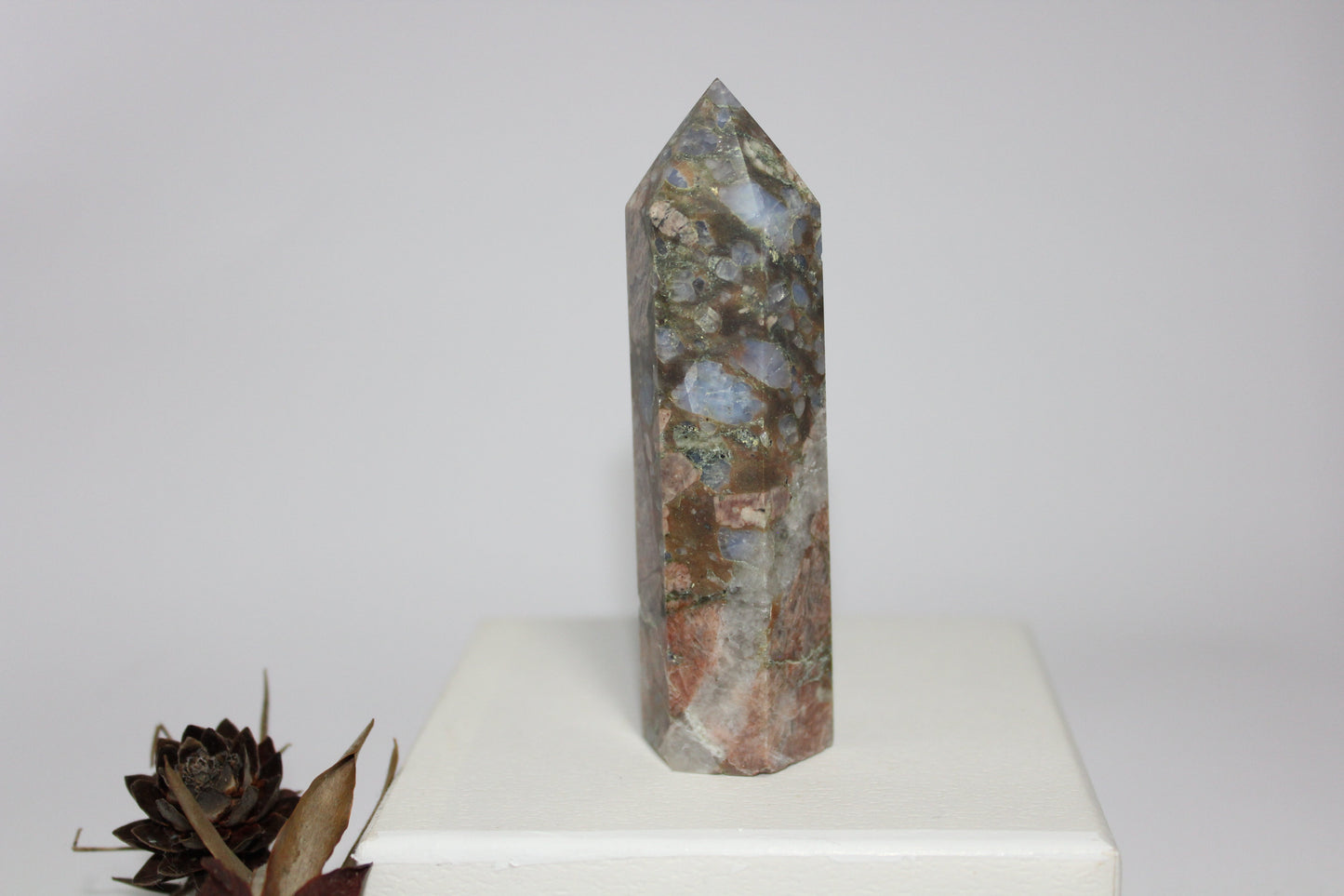 Generator - Que Sera (Vulcanite) - med/lge