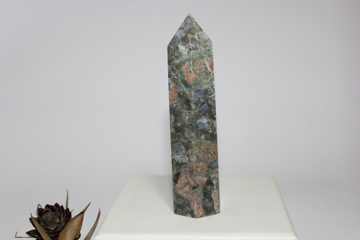 Generator - Que Sera (Vulcanite) - med/lge