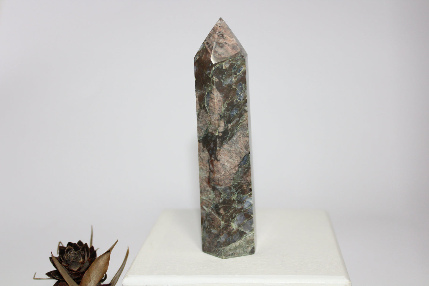 Generator - Que Sera (Vulcanite) - med/lge