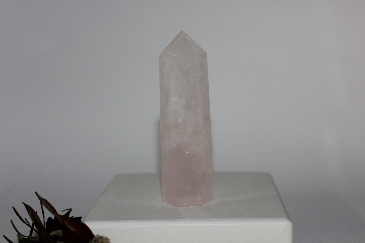 Generator - Rose Quartz - med