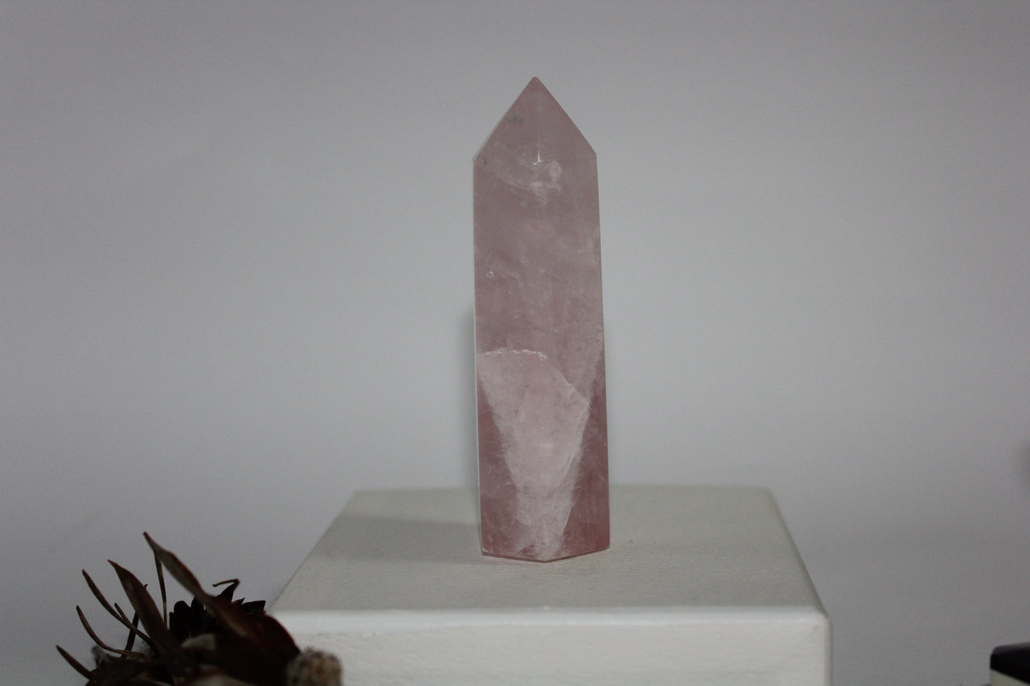 Generator - Rose Quartz - med/lge