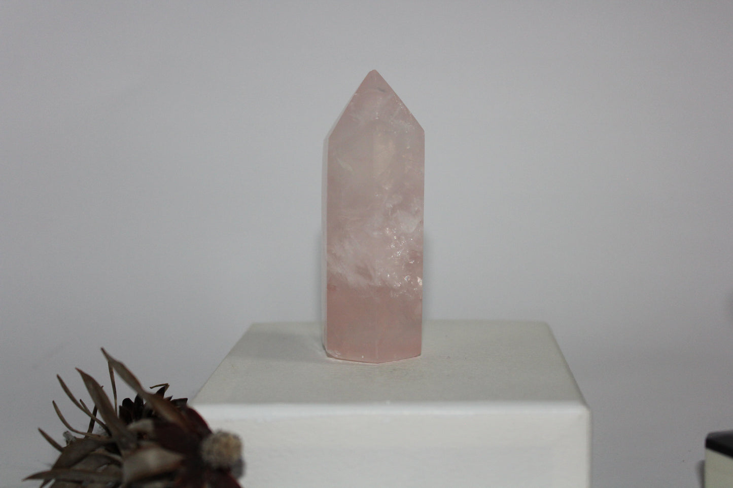 Generator - Rose Quartz - med/lge