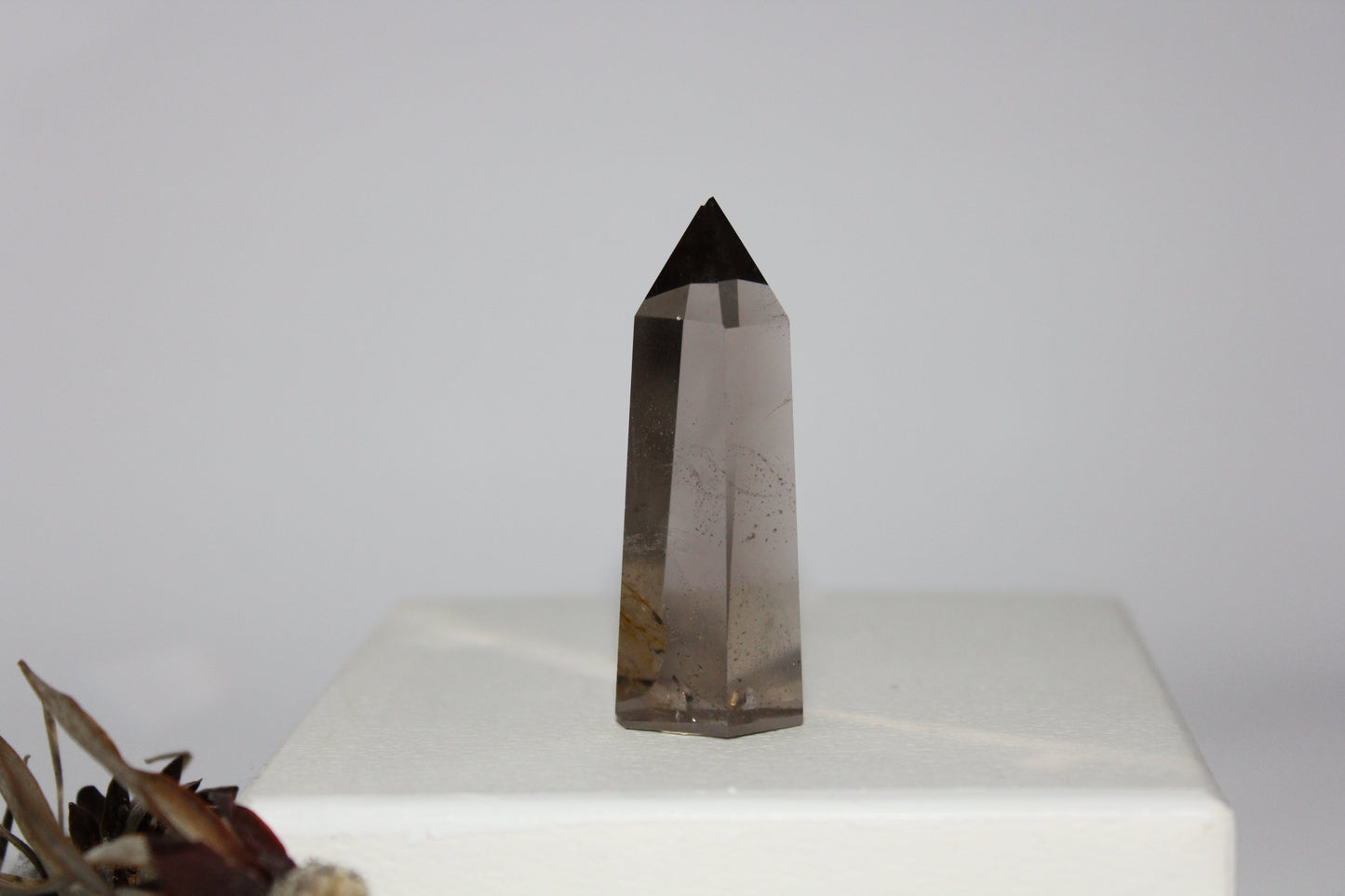 Generator - Smoky Quartz - sml