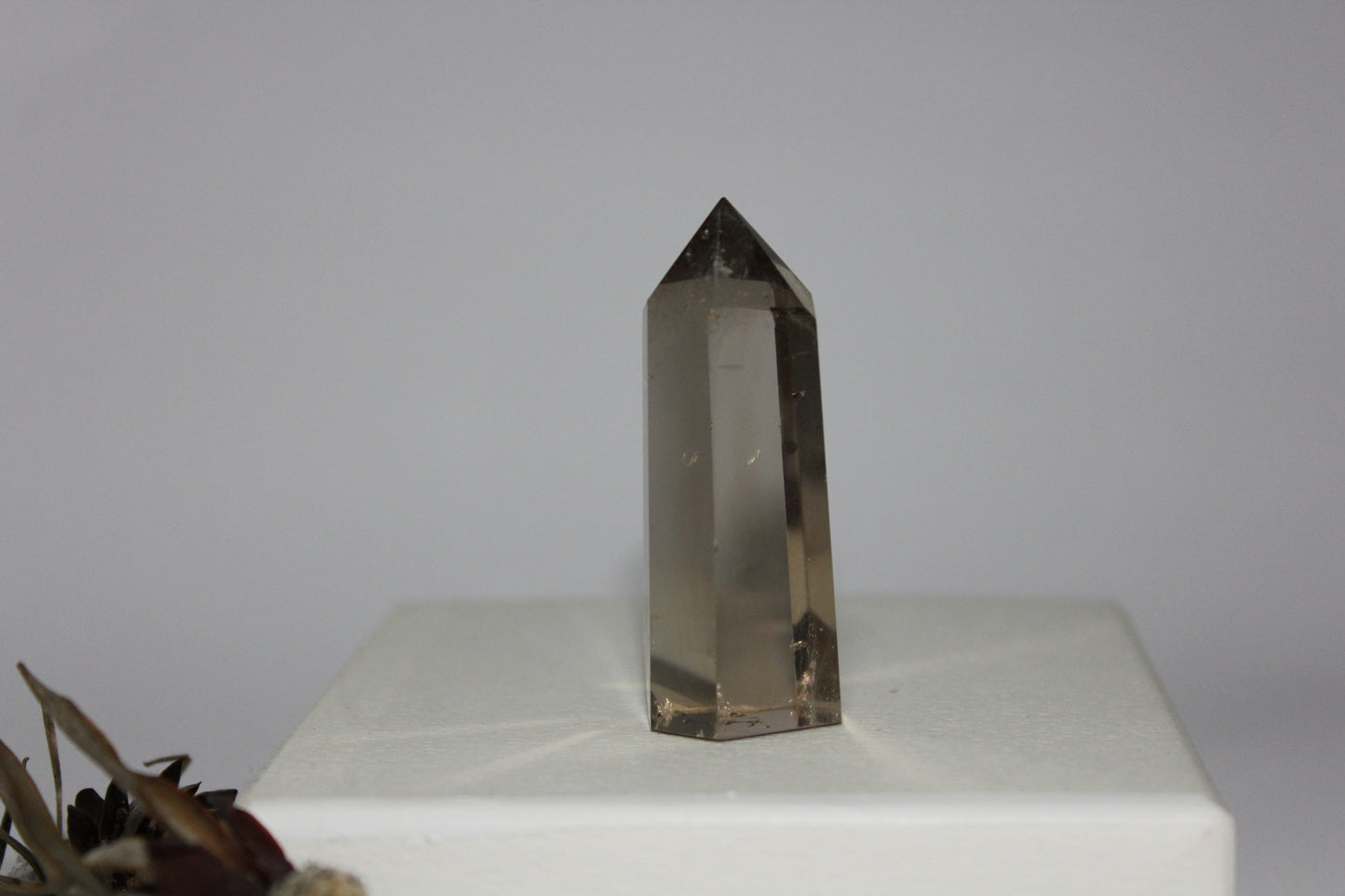 Generator - Smoky Quartz - sml
