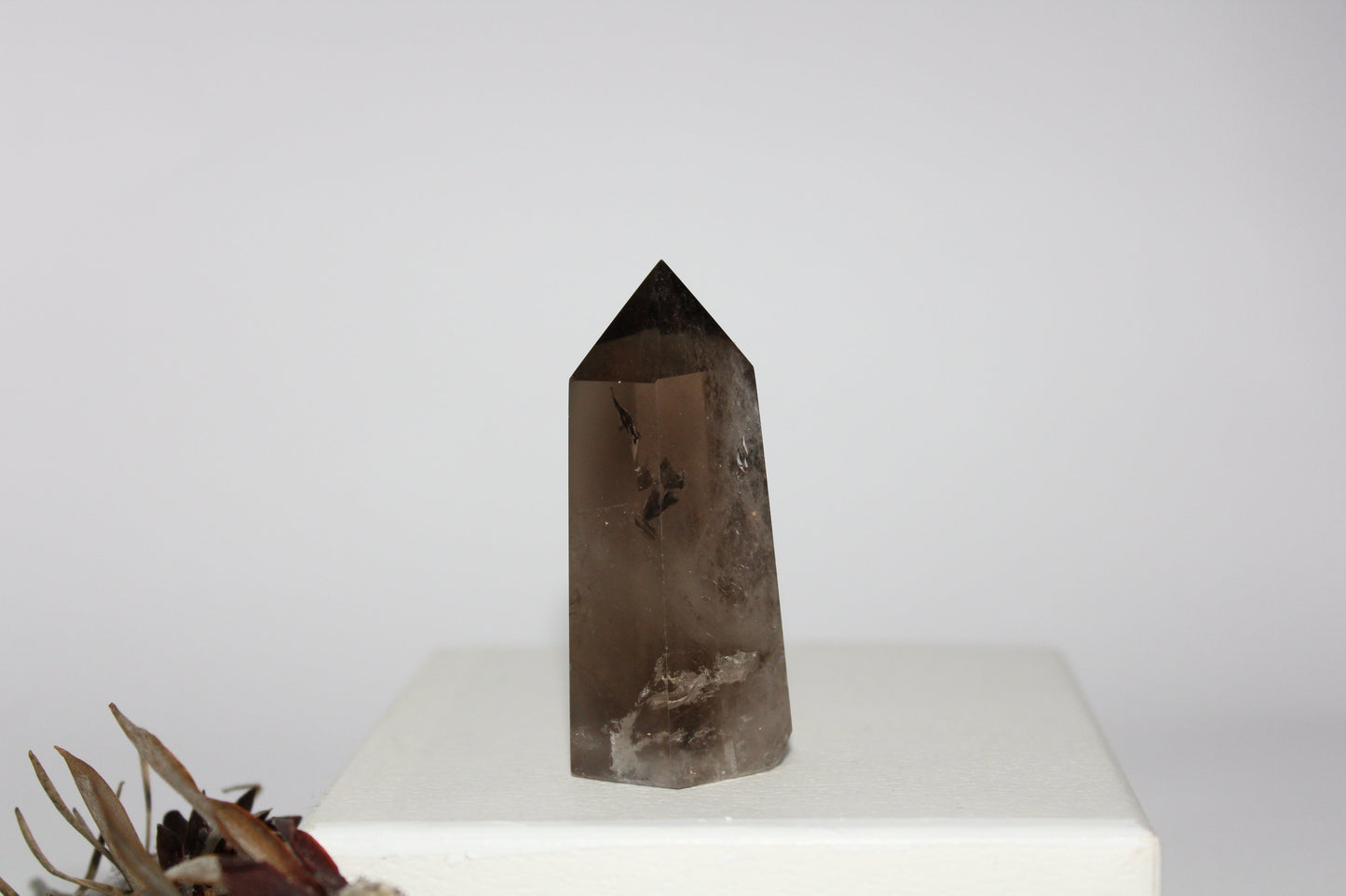 Generator - Smoky Quartz - med