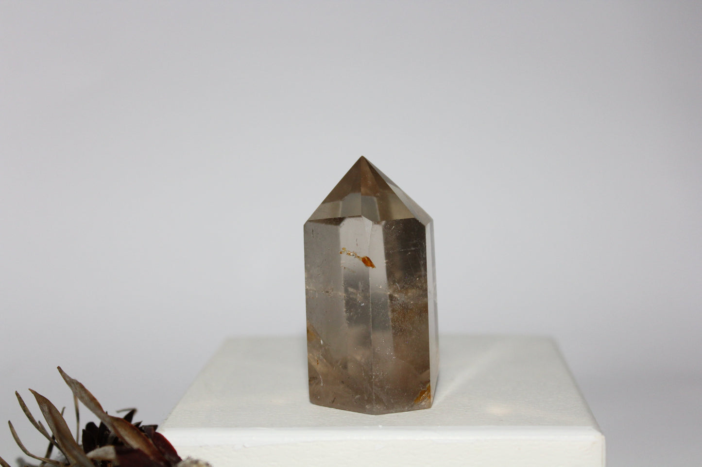Generator - Smoky Quartz - med/lge