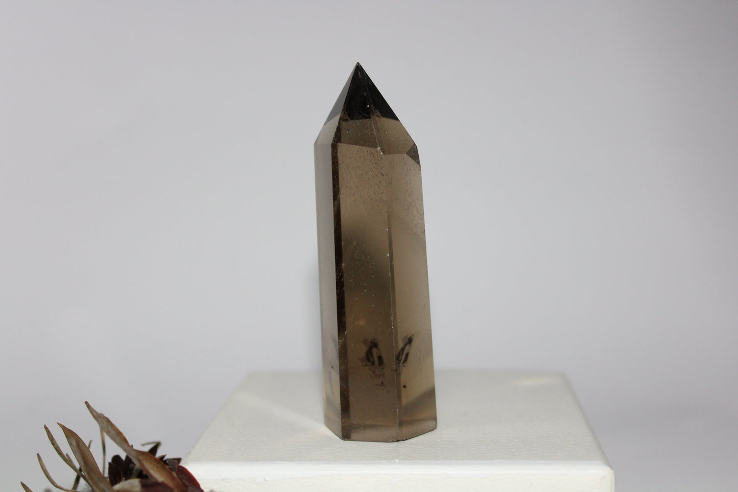 Generator - Smoky Quartz - med/lge