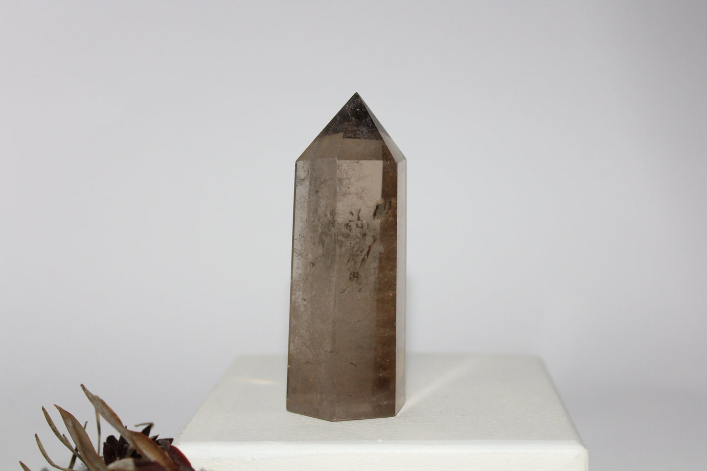 Generator - Smoky Quartz - med/lge