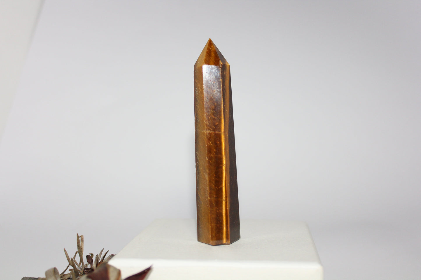 Generator - Tiger eye - med