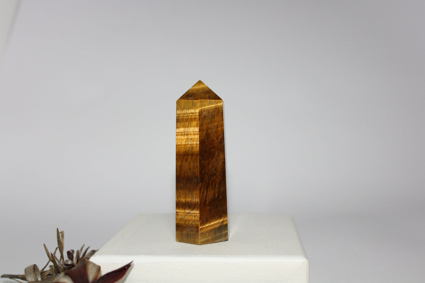 Generator - Tiger eye - med/lge