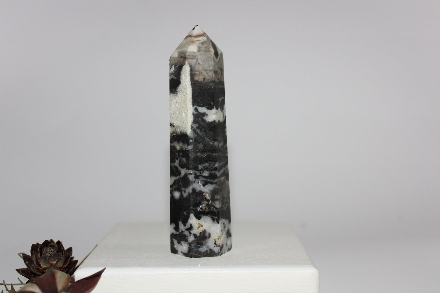 Generator - Zebra Marble - med