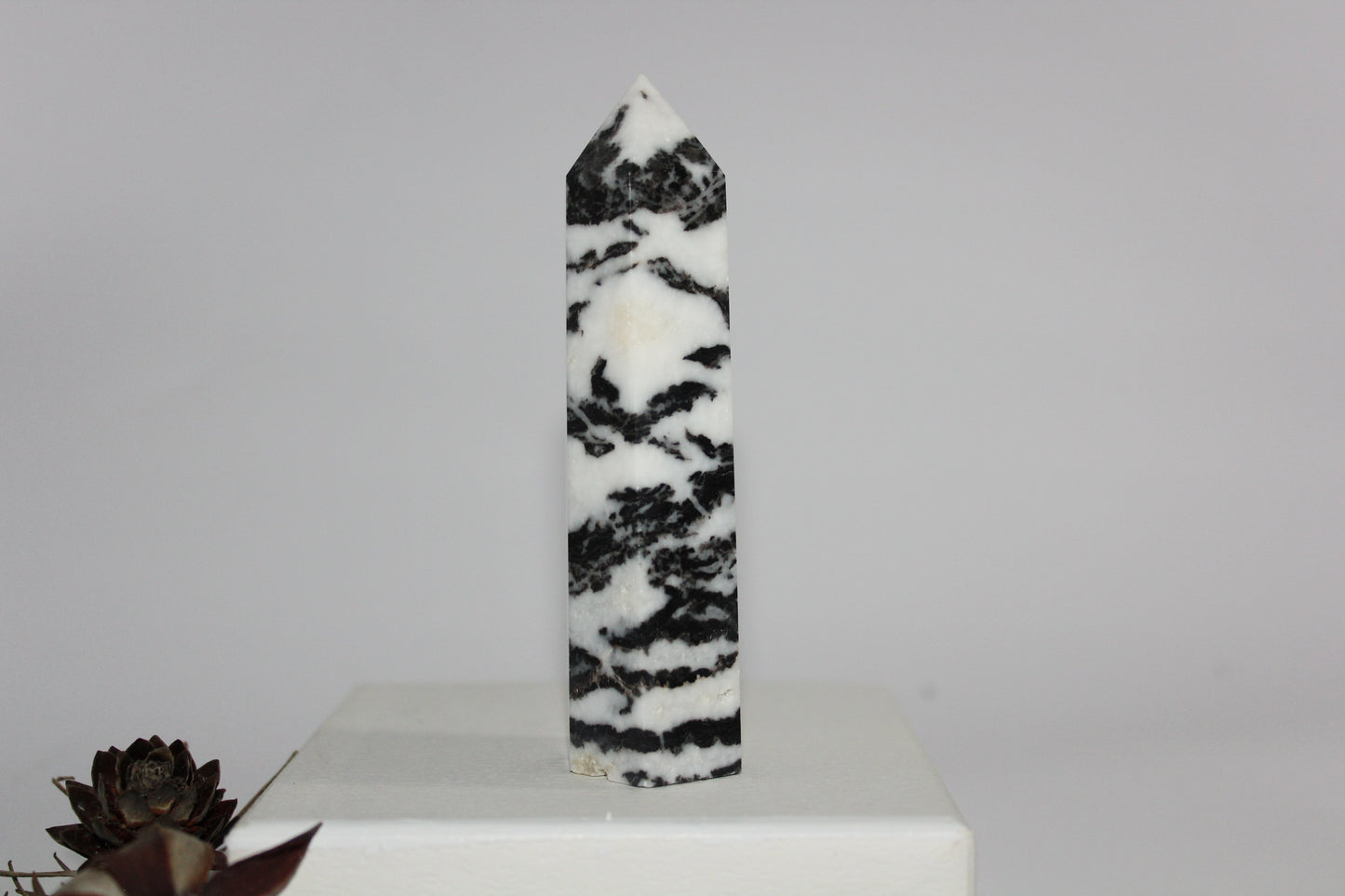 Generator - Zebra Marble - med/lge