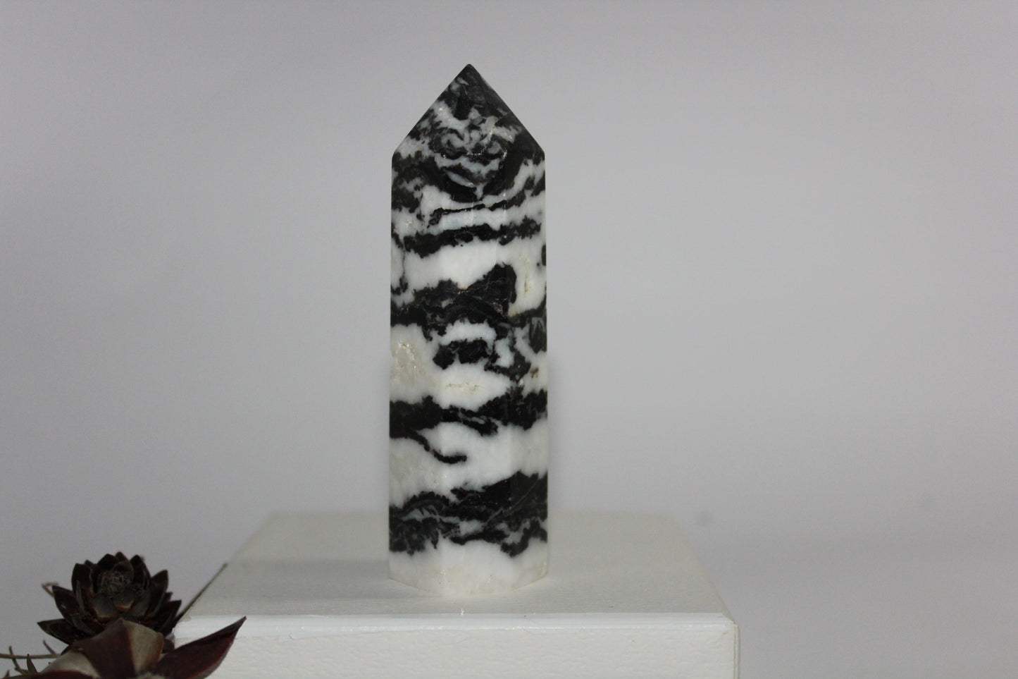 Generator - Zebra Marble - med/lge