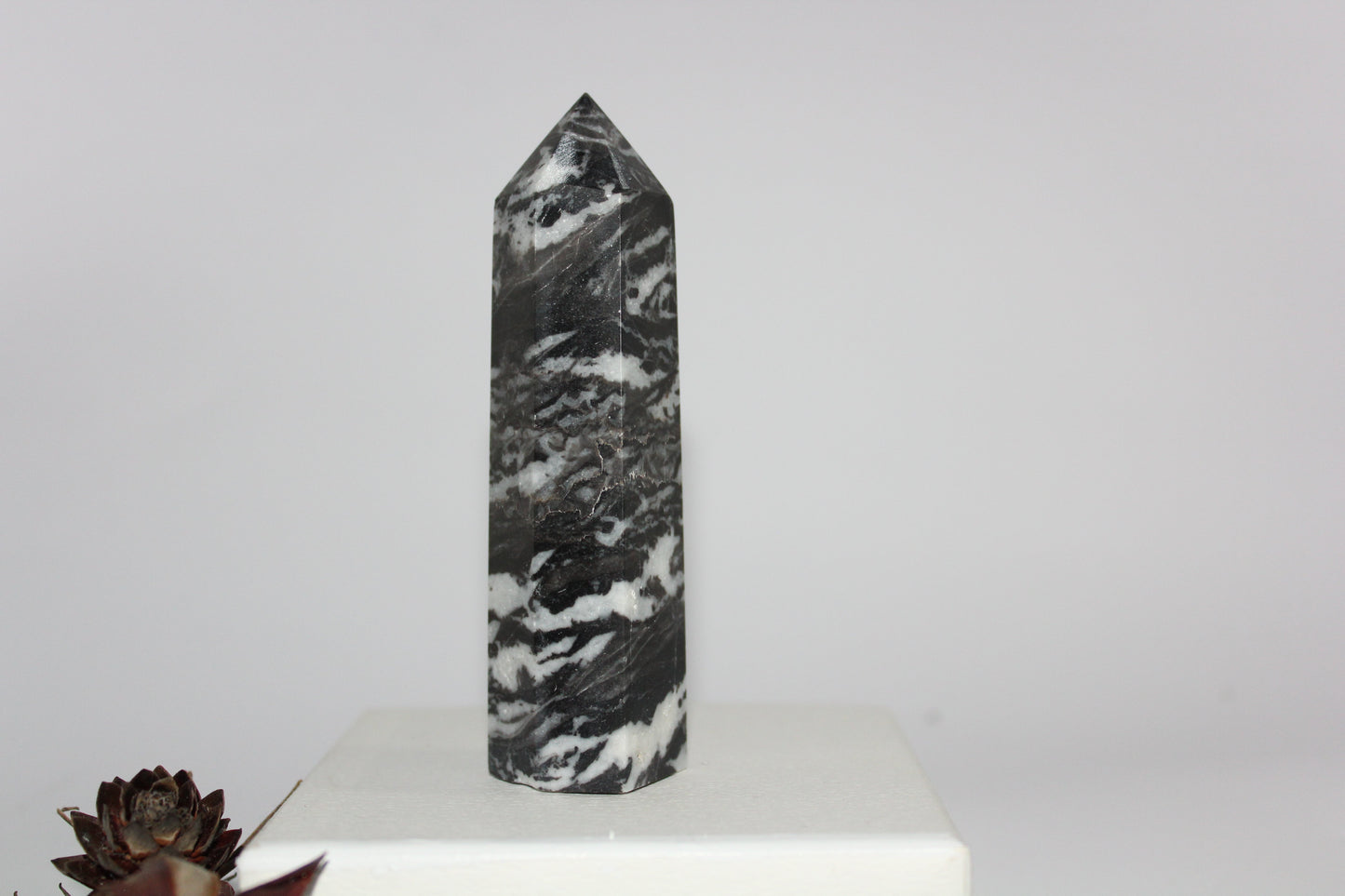 Generator - Zebra Marble - med/lge