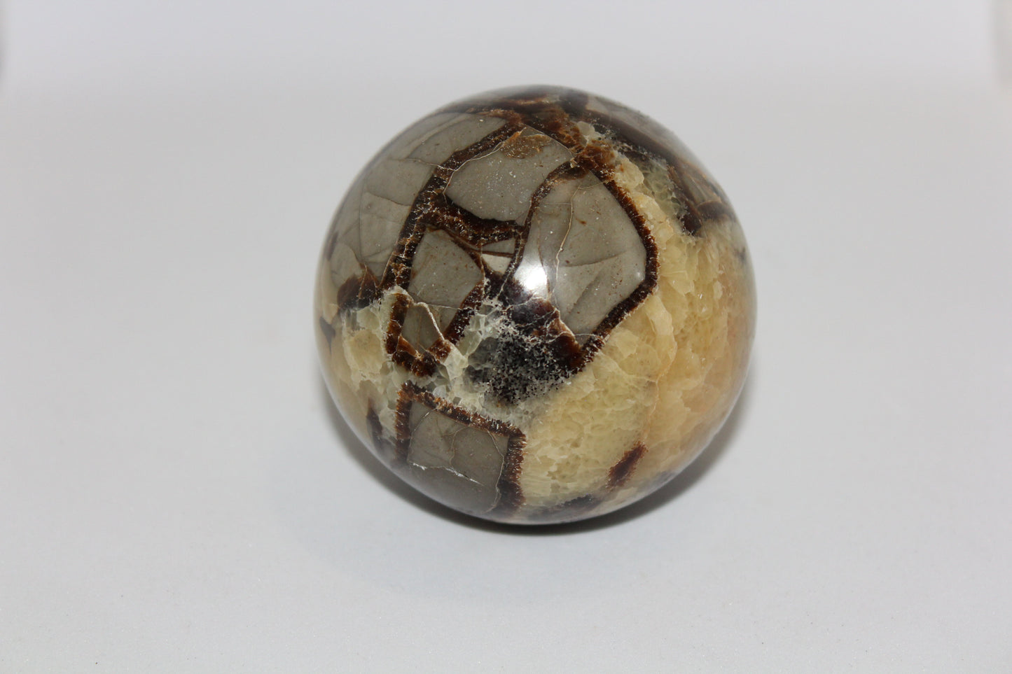 Sphere - Septarian - lge