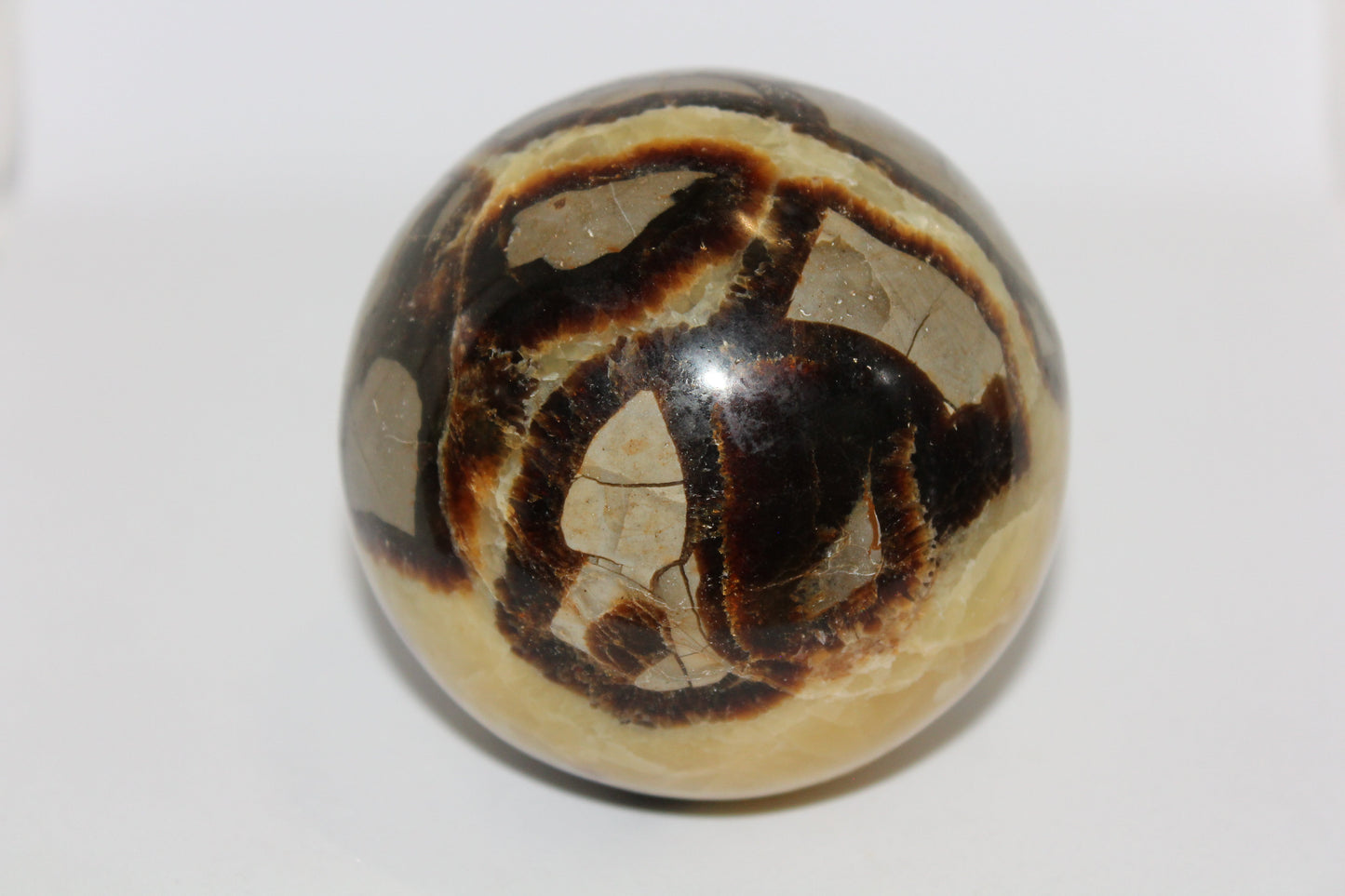 Sphere - Septarian - xlge